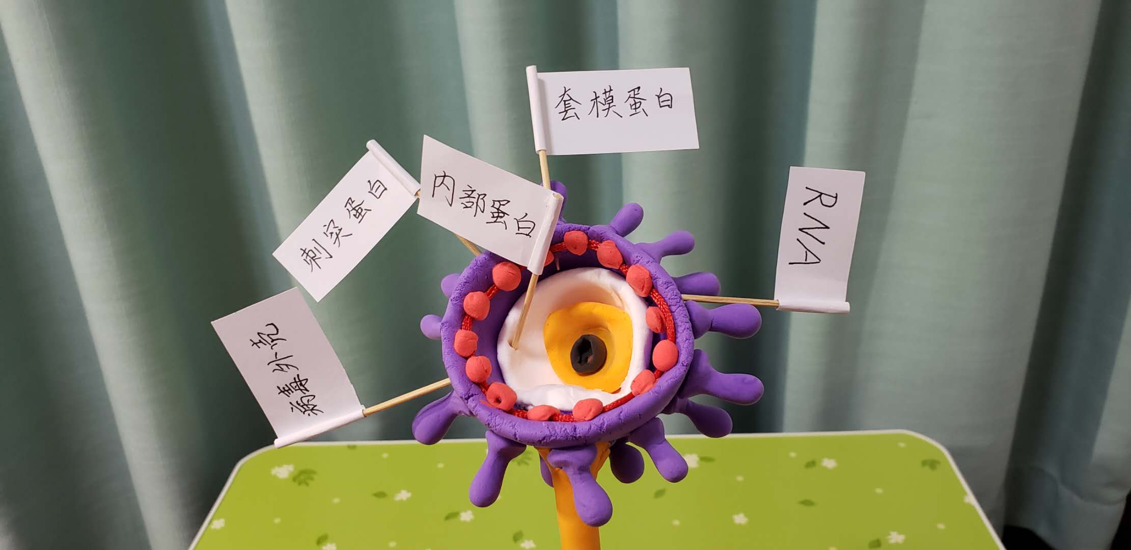 防疫病毒中的科学课